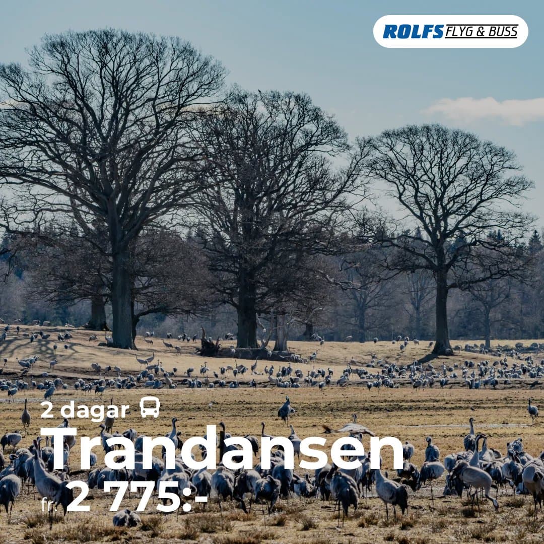 Trandansen