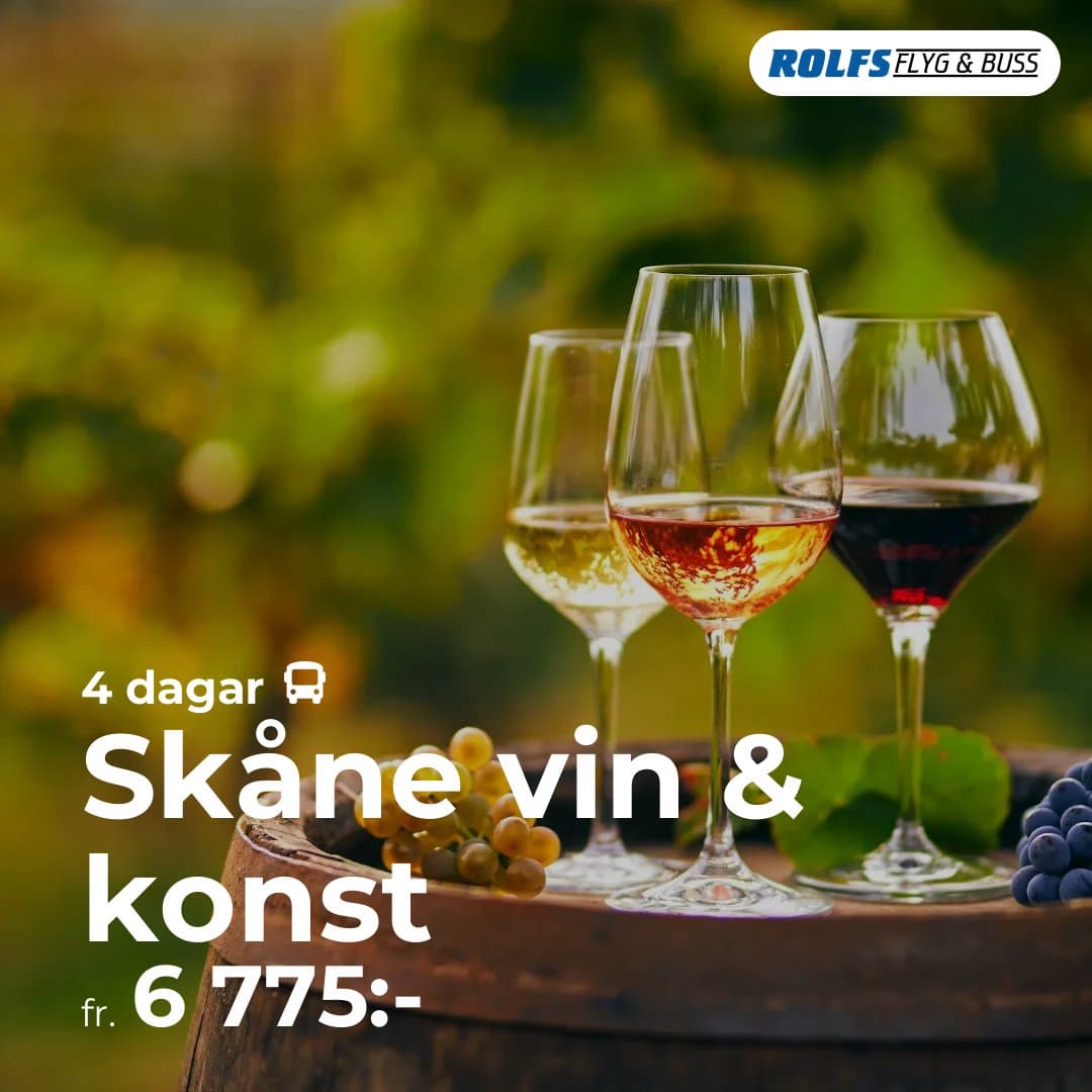 Skåne vin & konst