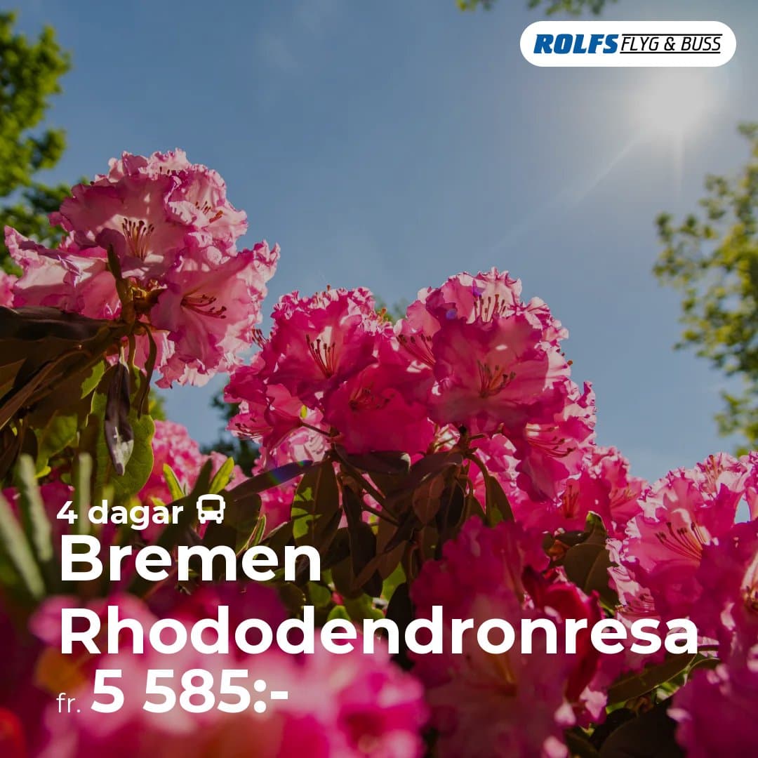 Bremen Rhododendronresa
